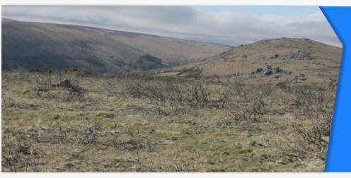 Dartmoor England stock footage