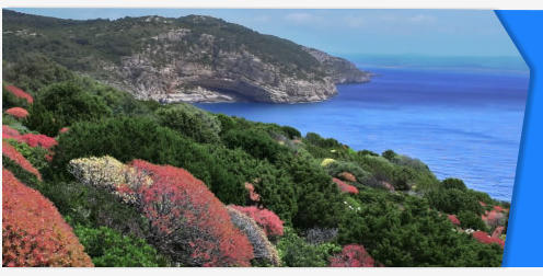 Porto Conte Sardinia stock footage