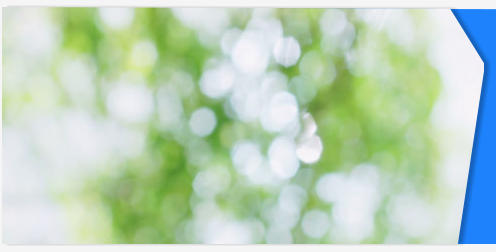 Nature bokeh background stock footage