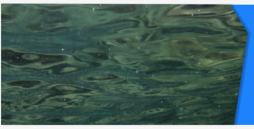 Under water stock footage