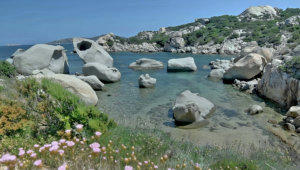 Sardinia stock footage