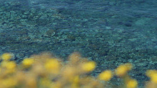 Clear shallow sea stock footage