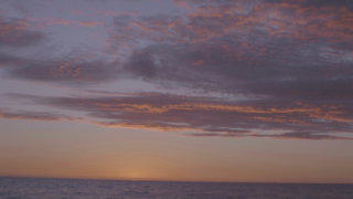 Sea sky sunset horizon stock footage