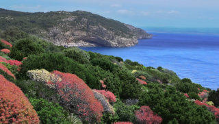 Porto Conte Sardinia stock footage