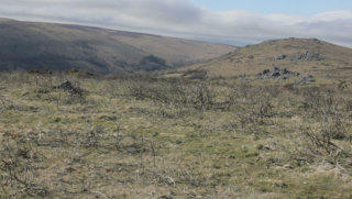 Dartmoor England stock footage