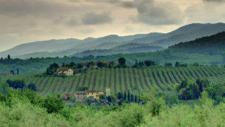 Rural Tuscany stock footage