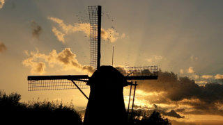 Kinderdijk Netherlands stock footage