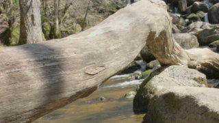 Dartmoor England stock footage