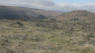 Dartmoor England stock footage