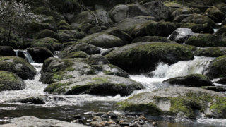 Dartmoor England stock footage