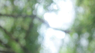 Nature bokeh background stock footage