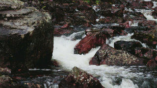 Wild river stock footage