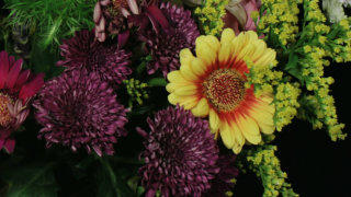 Flower bouguet stock footage