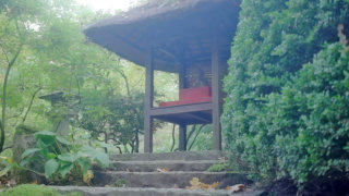 Buddha garden shrine stock footage