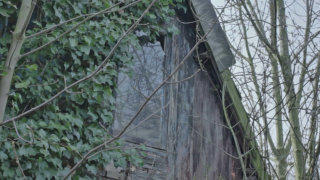 Urbex abandoned shed stock footage