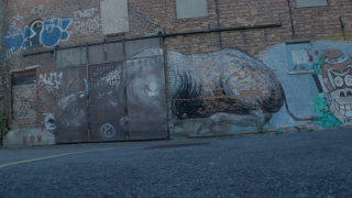 Doel Belgium stock footage