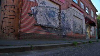 Doel Belgium stock footage