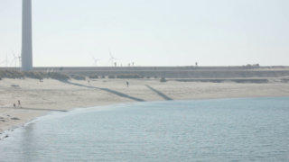 Beach wind turbines stock footage