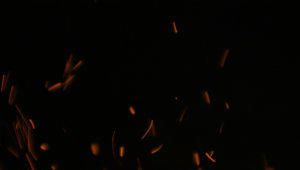 Fire sparks flying embers background stock footage