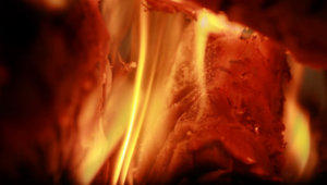 Burning wood fireplace campfire stock footage