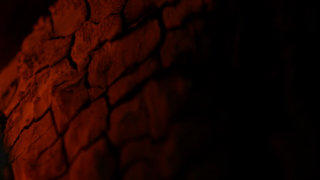 Burning wood fireplace campfire stock footage