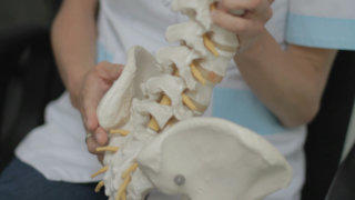 Chiropractor spine model stock footage