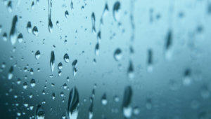 Rain stock footage