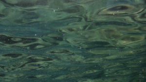 Under water stock footage