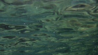 Under water stock footage